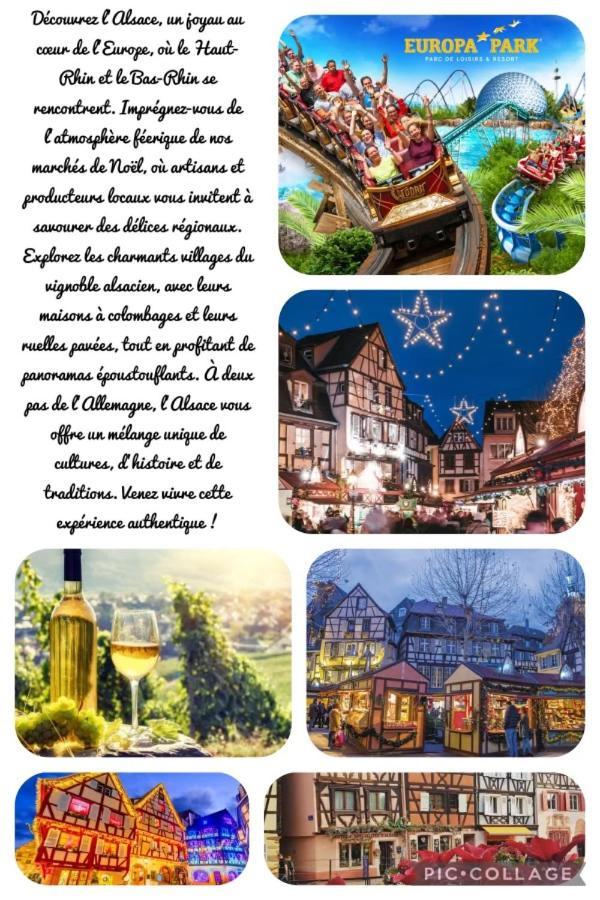 Chez Ana Hotel Ohnenheim ภายนอก รูปภาพ